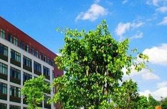 马边彝族自治县民族职业中学图片