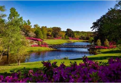 乐山计算机学校