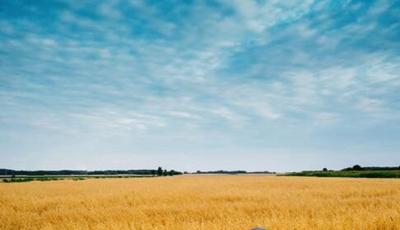 四川技术监督学校