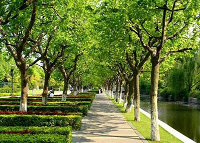 成都2023年现在铁路学校学啥好