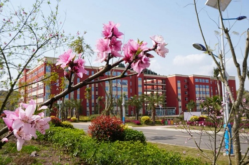 2023年资阳环境科技职业学院报名条件