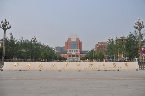 2023年四川文化产业职业学院招生计划