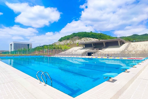 2023年四川科技职业学院五年制大专招生计划