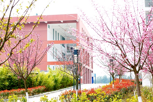 四川幼儿师范高等专科学校五年制大专宿舍条件好不好