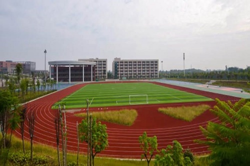 四川泸州市树风职业高级中学什么专业好