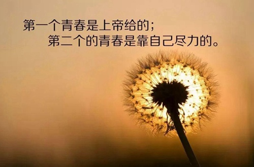 2023年南充有哪所学校有西餐烹饪专业