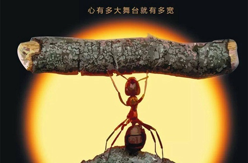 2023年绵阳机电一体化专业哪个职业学校好