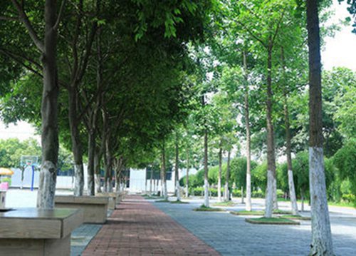 2023年南充有哪所学校有计算机及应用专业