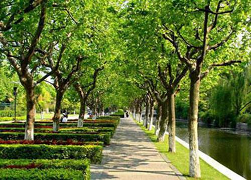 2023年成都初中生读铁路运输专业哪所学校好
