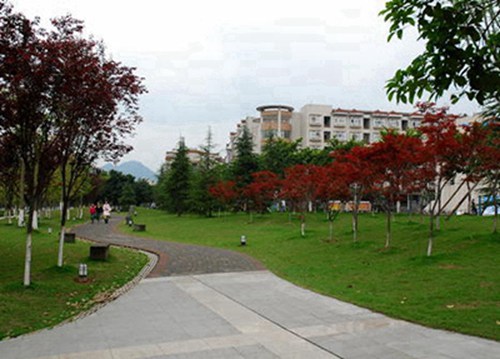 2023年凉山有哪所学校有会计专业