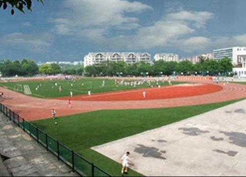2023年阆中读音乐专业哪所学校好