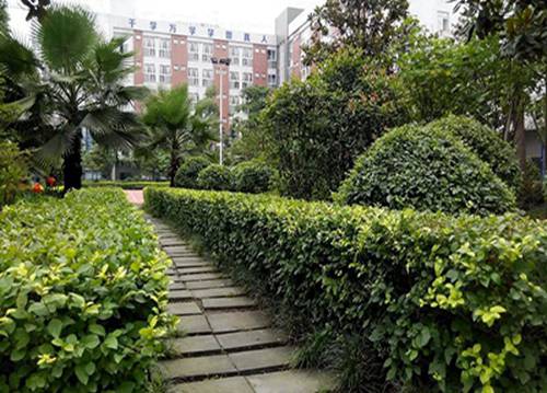2023年巴中比较好且开设有旅游管理专业的职业中学有哪些