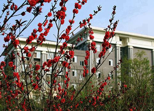 2023年南充读商务日语专业哪所学校好