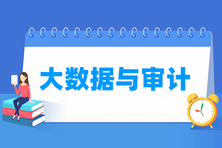 大数据与审计专业怎么样_就业方向_主要学什么