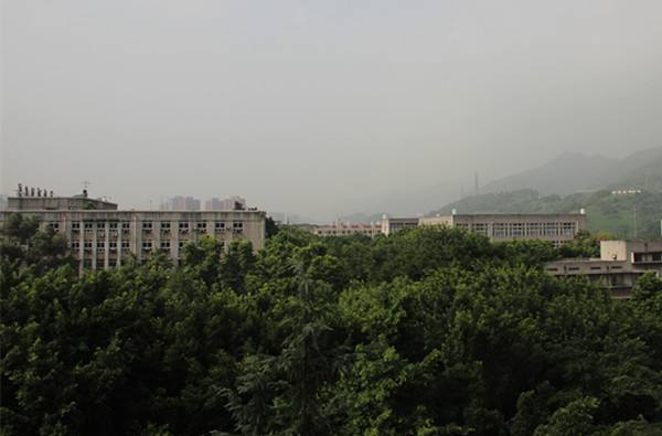 成都财贸职业技术学校有哪些专业(成都工贸职业技术学院有哪些专业)