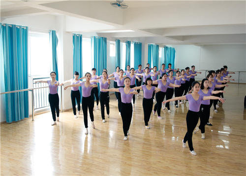 成都有哪些本科大学(成都公办职业技术学校有哪些学校)