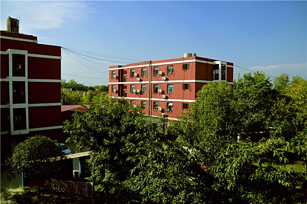 成都双流学校(四川双流区有哪些大学)