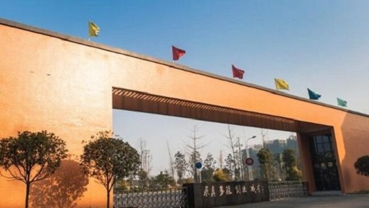 成都职高排名前十名学校大专(四川公立中职学校排名前十)