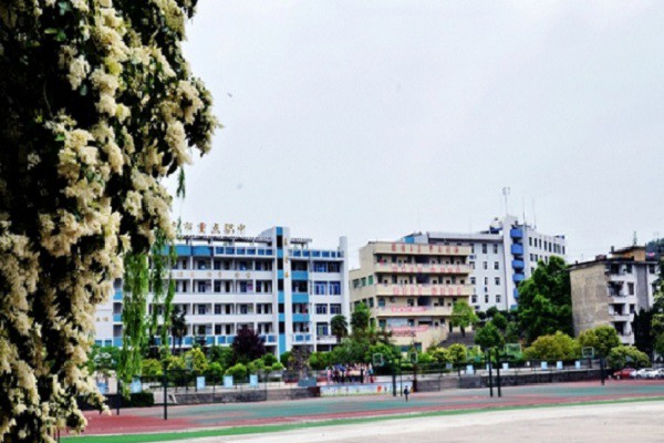 四川成都卫生职业学校有哪些(华西卫校和四川省卫校哪个好)