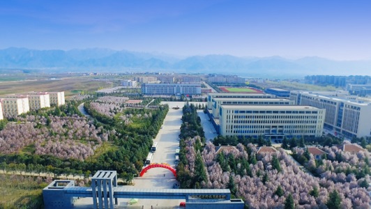 成都十大职业学校排名(成都龙泉公办职高哪些学校好)