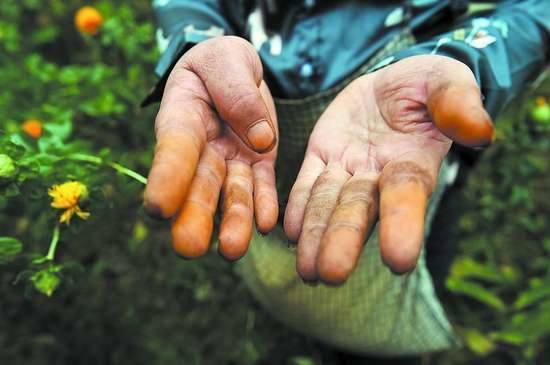 成都公立初中排名(成都公立初中排名前十名学校)