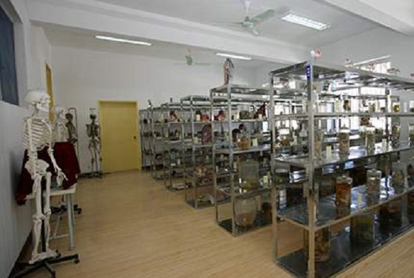 成都龙泉驿城市职业学校(成都龙泉职业技术学校怎么样)