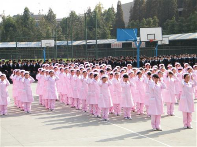 为什么不建议孩子去国际学校(成都美视国际学校排名)