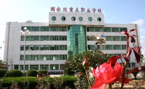 正规公办职中学校成都(成都市公办职业学校有哪些)