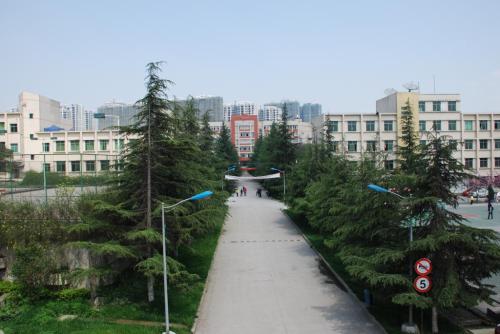 成都有哪些公办大学本科学校(成都公办本科大学排名及分数)