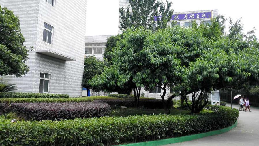 成都市内职业高中(成都市职业学校排名榜)