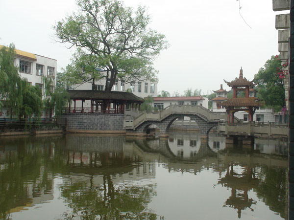 成都哪个职高学校好(成都龙泉公办职高哪些学校好)