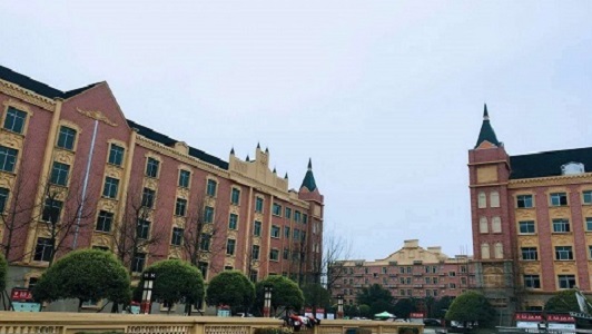 成都双流的职高(成都双流高中学校有哪些)