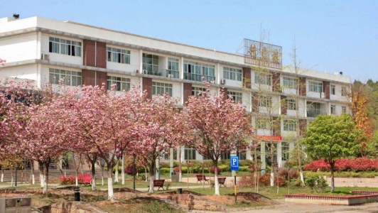 成都职高公办学校招生(成都公立职业学校有哪些比较好)