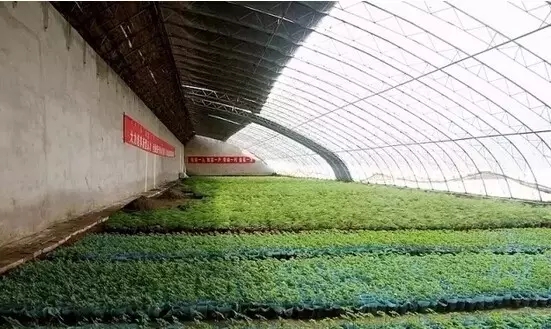 成都职中排名(成都公立中专学校排名前十)