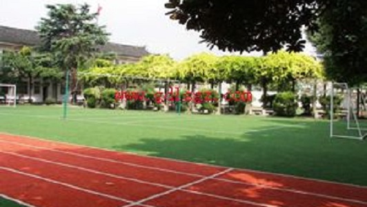 成都有哪些本科大学(成都公办职业技术学校有哪些学校)