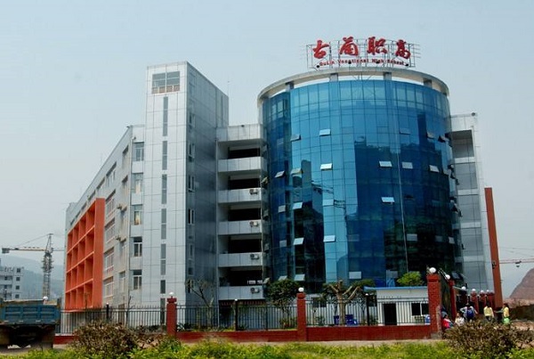 成都艺术类职高学校有哪些(成都文化艺术学校是高中还是职高)