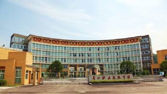 成都公立职业学校(四川省成都市公办职业学校有哪些)