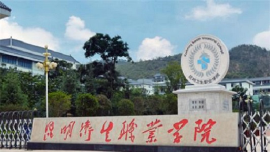 成都职业中学招生要求(成都比较好的职业学校招收初中生)