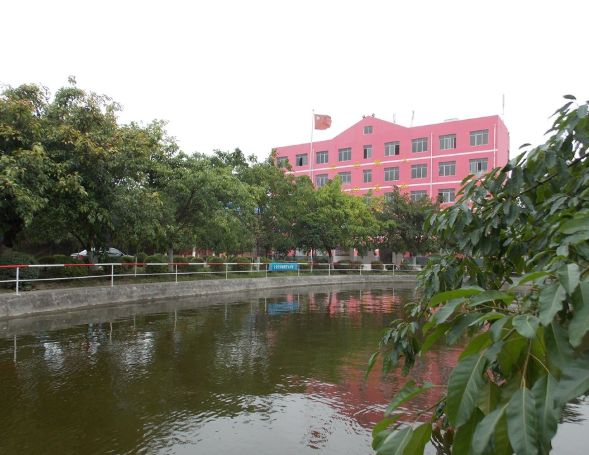 成都市所有高中(四川成都有哪些高中学校)