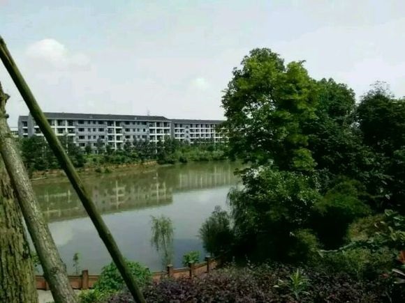 成都哪个职高比较好(成都哪个职业技术学院排第一)