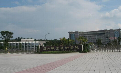 成都城市技师学院学幼儿教育会用到u盘吗(成都城市技师学院是中专还是技校)