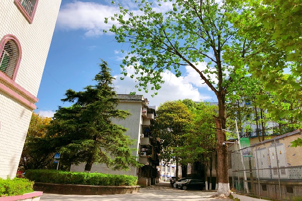 成都有哪些汽修职业学院(成都汽车职业技术学校学费多少)