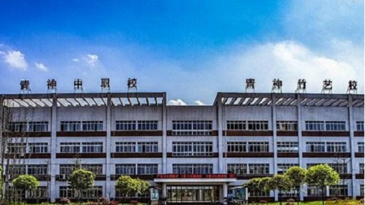 成都成工科技工程技工学校怎么样(成都成工科技工程技工学校官网)