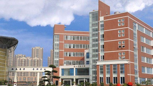 为什么不建议孩子去国际学校(成都美视国际学校排名)