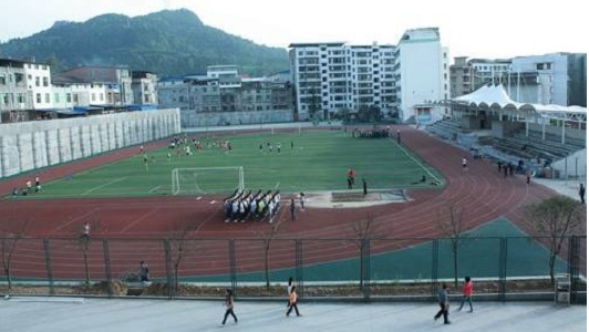 成都公立卫校有哪些(资阳卫校有几所公立学校)