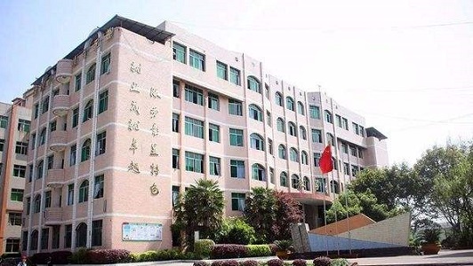 成都十大职高学校排名前十(成都职高有哪几所是最好的)
