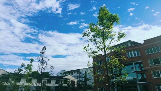 成都铁路卫校招生电话(成都铁路卫生学校招生简章)