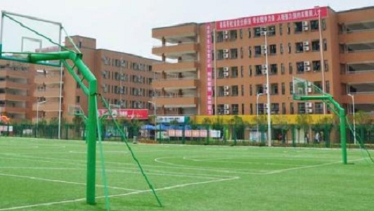 成都汽车职业技术学校是公办的吗(成都汽车职业技术学校阳光城总校)