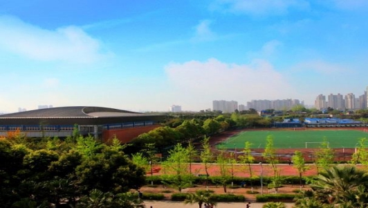 成都职高推荐学校有哪些大学(成都职业高中学校有哪些比较好)