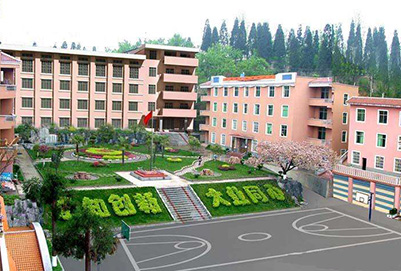 成都卫校四川成都公办的学校(成都卫校多少分才能录取)